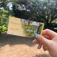 3월 제주여행 코스 완벽 추천 