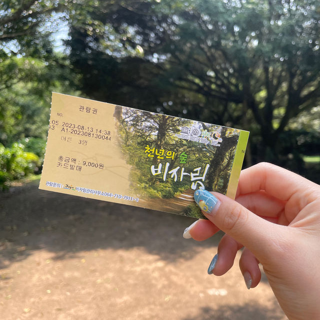 3월 제주여행 코스 완벽 추천 