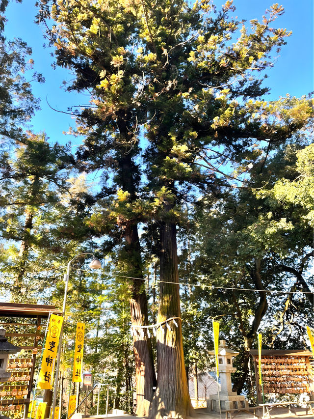 【聖神社/埼玉県】銭神様見守る金運アップご利益の神社