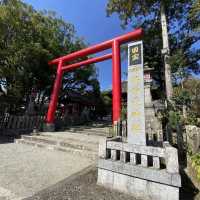 美しい赤色の鳥居に続くお稲荷様