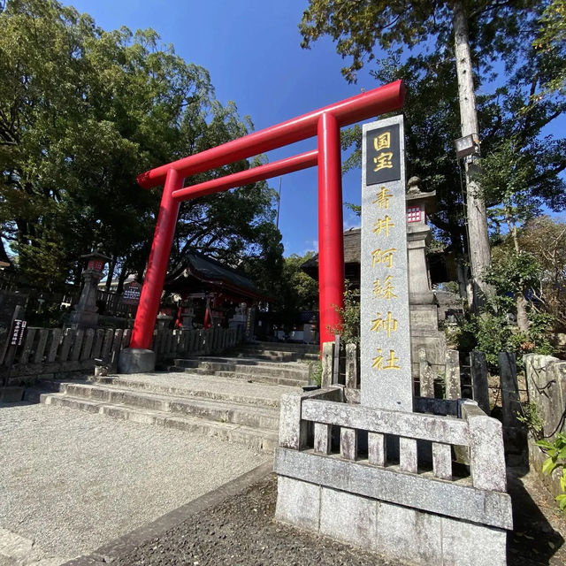 美しい赤色の鳥居に続くお稲荷様