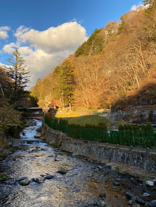 【📍長野】創業大正十五年！蓼科 親湯温泉