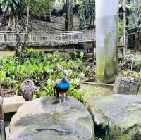 Perdana Botanical Garden Taman Botani Perdana