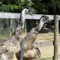 鳥取、鳥根県おすすめする理由3選