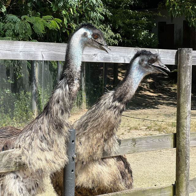 鳥取、鳥根県おすすめする理由3選