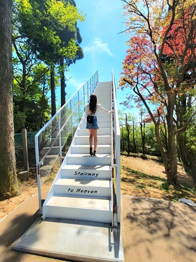 【神戸/海外のようなカフェ】360度の大自然に癒される、お洒落カフェが山の中にあった！！