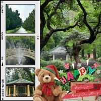 衛武營都會公園：自然的完美🎭🌳