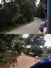 ตามหาน้ำตกรูปหัวใจ