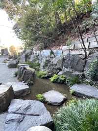 【貫井神社/東京都】湧水流れる美しい境内