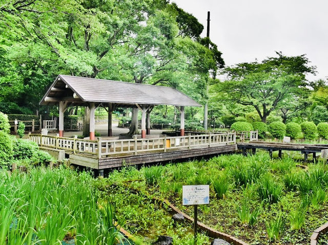 Huge Park in Fujisawa City