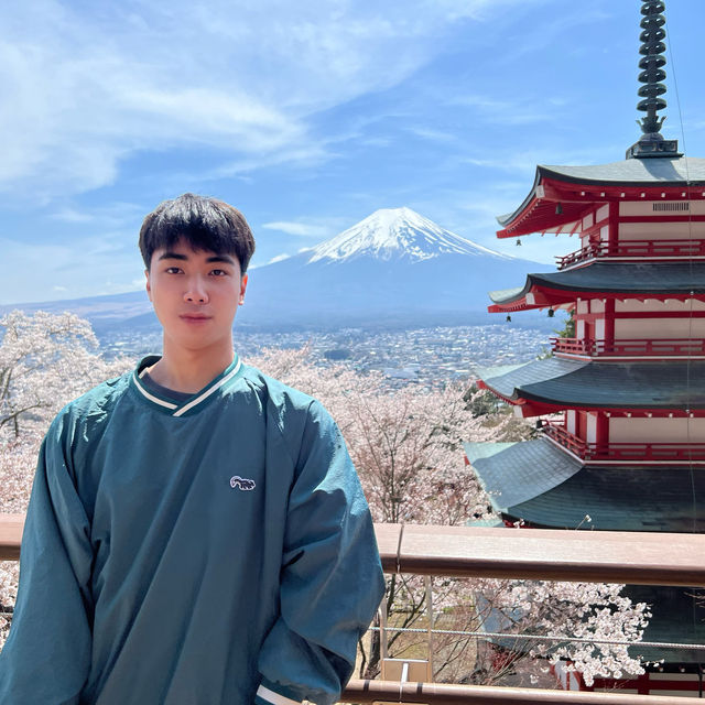 來富士山追櫻一定要來的新倉山浅間公園！