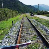 「韓國旌善鐵路自行車：春天好去處，最高時速20km」