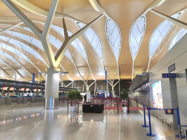 Shanghai Pudong Airport เซี่ยงไฮ้, จีน