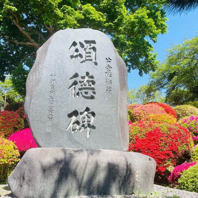 【長野県/岡谷　色とりどりのカラフルな”つつじ”が美しく咲き誇る 『鶴峯公園』】