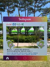 [전남영광] 따뜻한 봄날의 영광 찰보리 데이트💕
