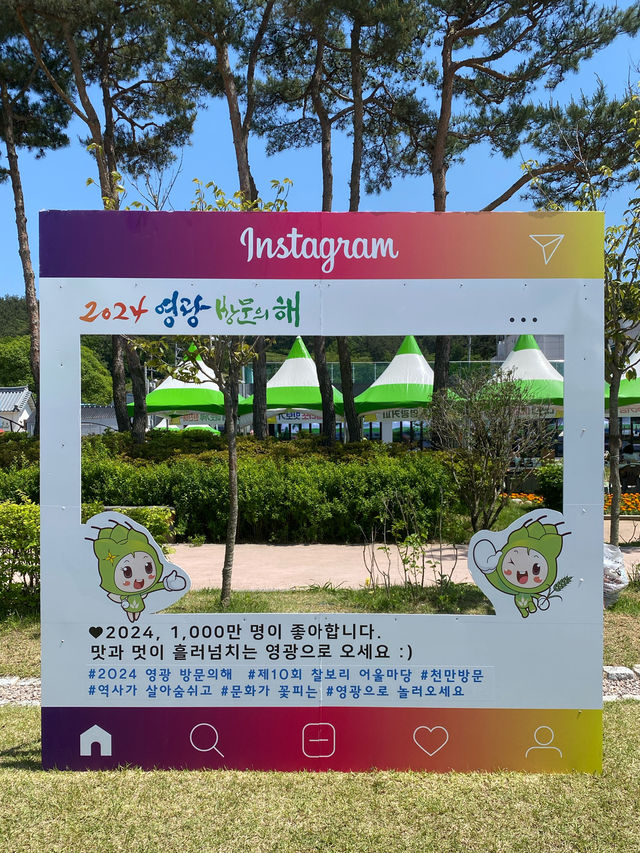 [전남영광] 따뜻한 봄날의 영광 찰보리 데이트💕