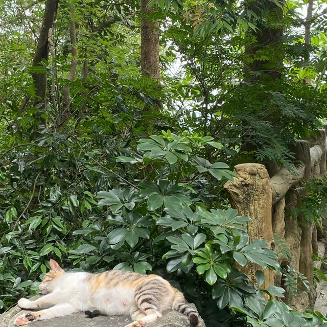 役政公園～綠洲中的湖光山色～寧靜放鬆