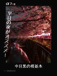 【東京】都内おすすめ写真スポット８選！FOCUS Vol.019