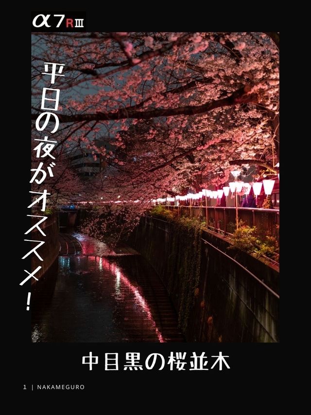 【東京】都内おすすめ写真スポット８選！FOCUS Vol.019