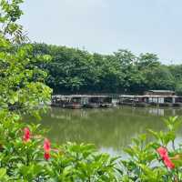 深圳2h 週末遊船好去處
