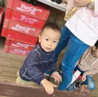 苗栗銅鑼 莫內的秘密花園 童趣鄉村