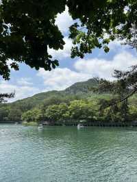 서울 근교, 포천에서 🏝️ 여름을 풍성하게 느껴볼 수 있는 여름 나들이 여행지 추천 ! 💫