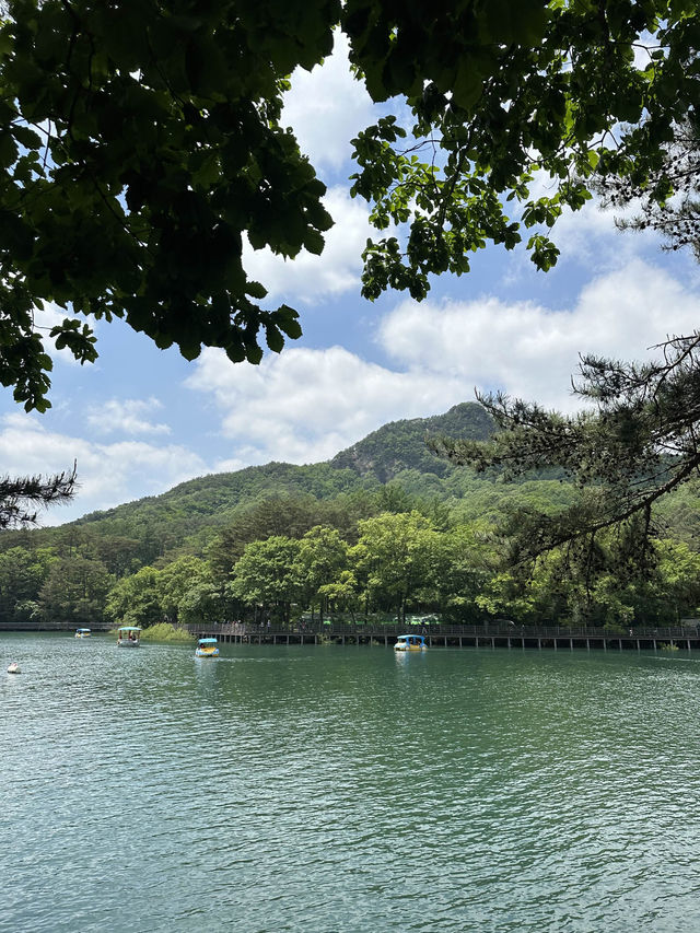 서울 근교, 포천에서 🏝️ 여름을 풍성하게 느껴볼 수 있는 여름 나들이 여행지 추천 ! 💫
