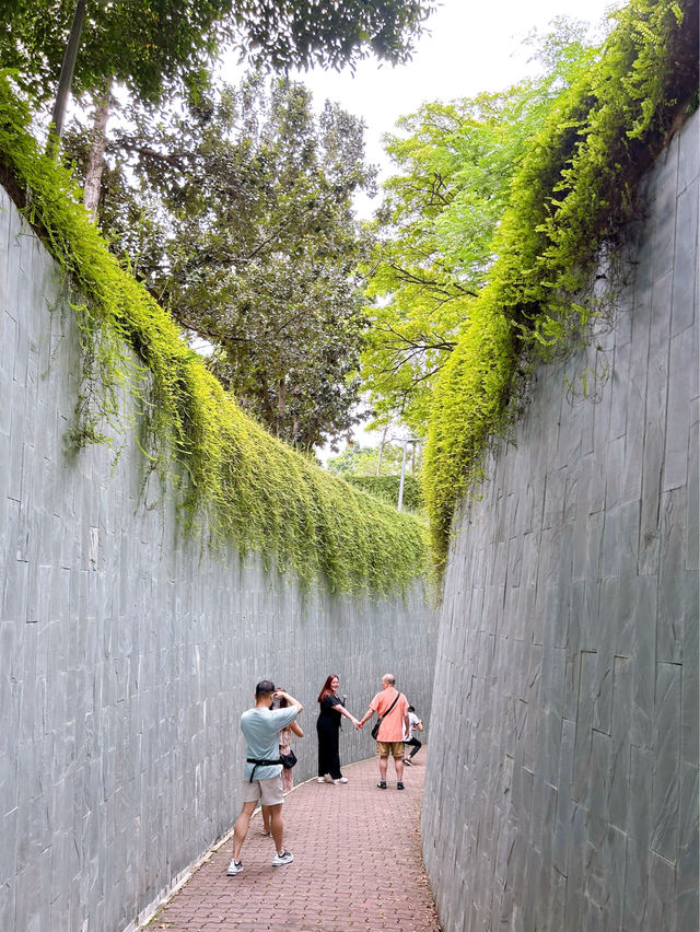 Fort Canning Tree Tunnel 