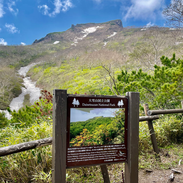 Unveil Hokkaido's Alpine Wonders