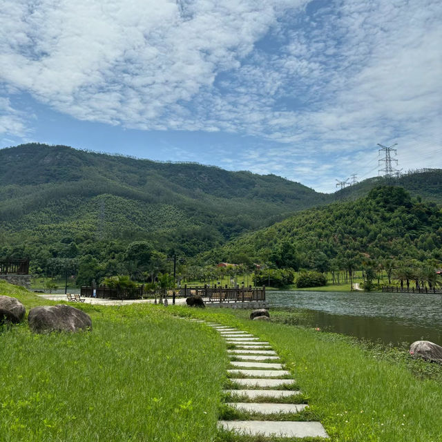柴山自然公園：自然生態體驗