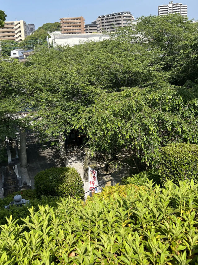 【福岡神社】花手水が美しい北九州の素敵な神社