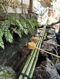 〜京都府〜MAP付！日本の夏🎐貴船神社周辺プラン🌱