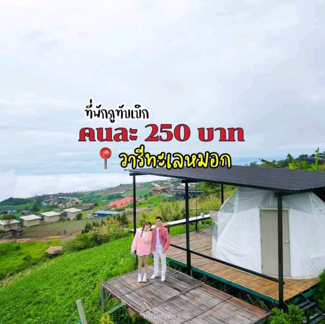 ที่พักภูทับเบิก สไตล์แกลมปิ้ง เพียงคนละ 250 บาท