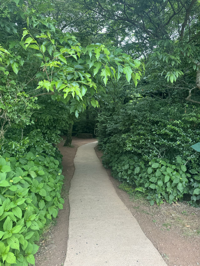 구경거리 포토스팟이 가득한 제주 동쪽 돌문화공원 ✨