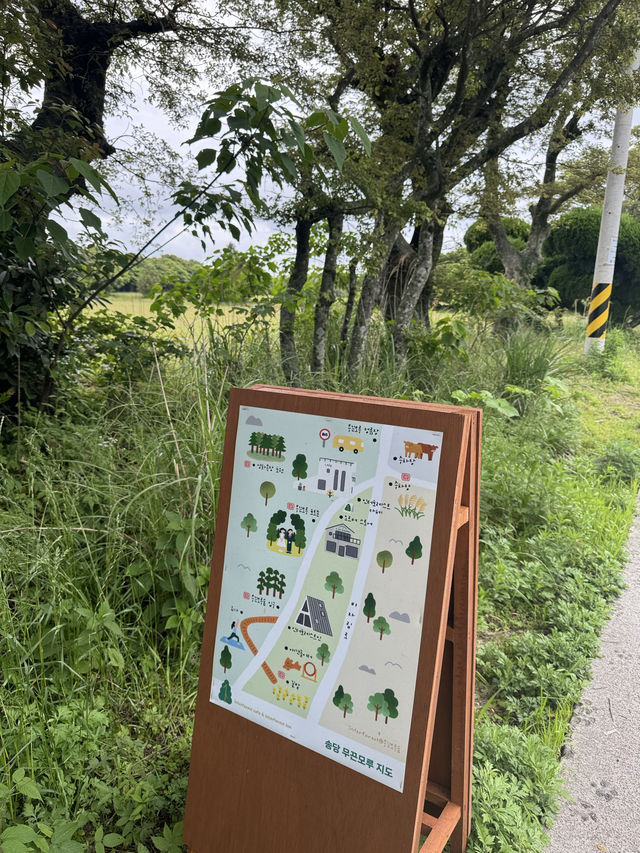 멋스러운 분위기의 제주감성 가득한 인터포레스트