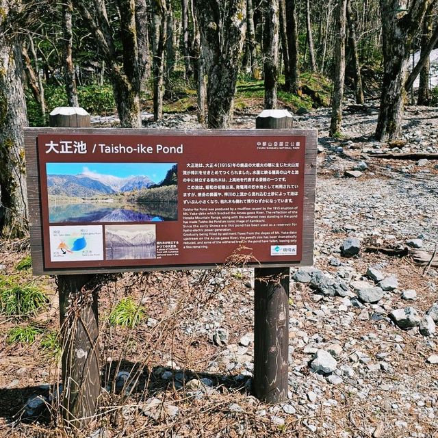 必訪日本阿爾卑斯山美景〔大正池〕