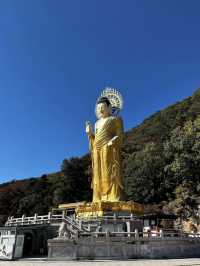 역사의 흔적이 느껴지는 🌟불교의 보물이 많은 🏞️ 충청북도 속리산 사찰여행지 추천