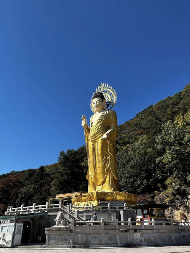역사의 흔적이 느껴지는 🌟불교의 보물이 많은 🏞️ 충청북도 속리산 사찰여행지 추천