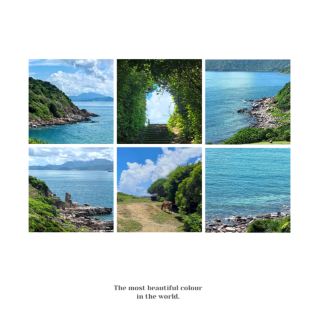 地球岬：無垠沙灘，洄游海鳥