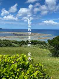 【奄美】南国！一度は見てほしい絶景あやまる岬