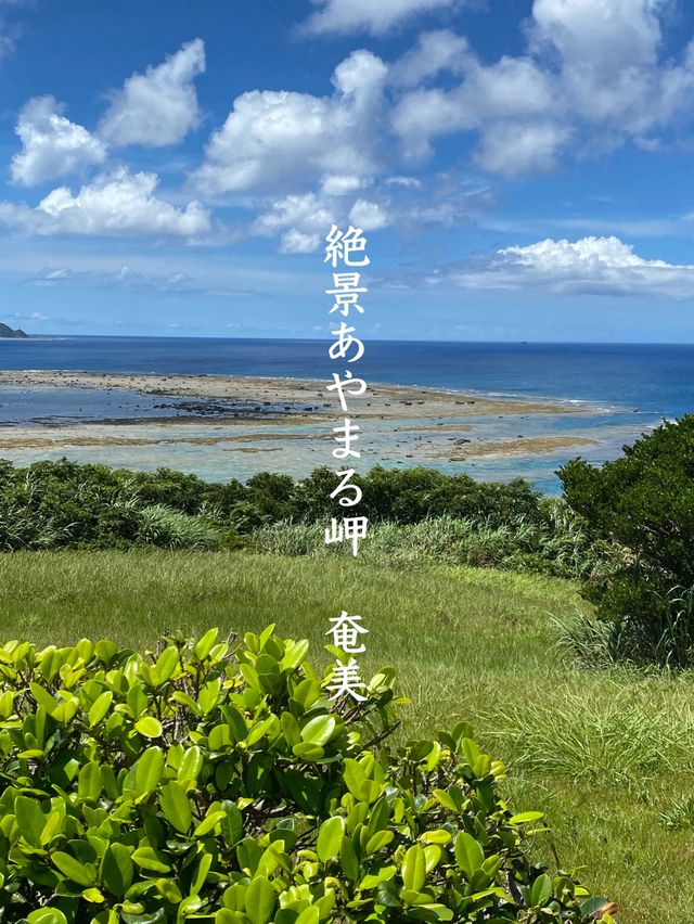 【奄美】南国！一度は見てほしい絶景あやまる岬