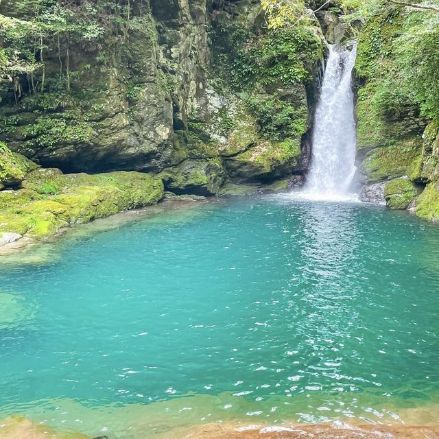 【高知】透明度抜群の滝壺で仁淀ブルーの絶景を