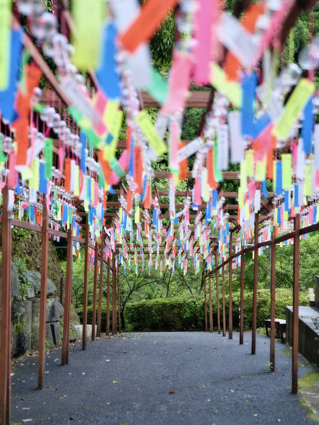 風鈴の音色とシャボン玉に癒される🥰奥地にひっそり佇む映え寺✨