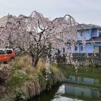 四國遍路+瀨戶內海單車遊
