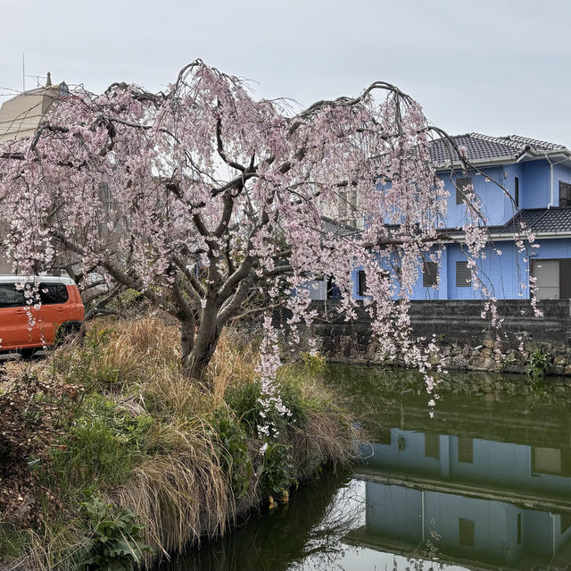 四國遍路+瀨戶內海單車遊