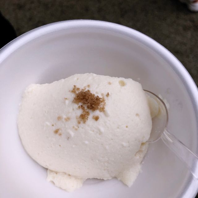 【🇯🇵京都-上賀茂神社】無病息災の儀式が圧巻すぎた🔥