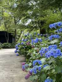 【箱根・強羅】　自然の中で花を愛でるオシャレなガーデン