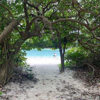 石垣島上據說擁有最美海洋的地方
