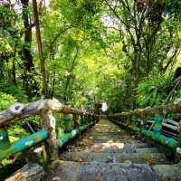 關子嶺富野溫泉會館