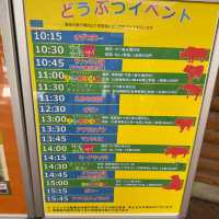 【静岡】小動物以外も触れ合える動物園！